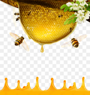 10009
