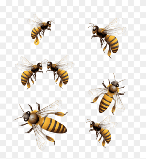 10035