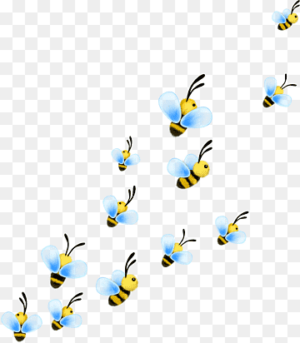 10036