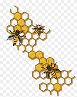 10056